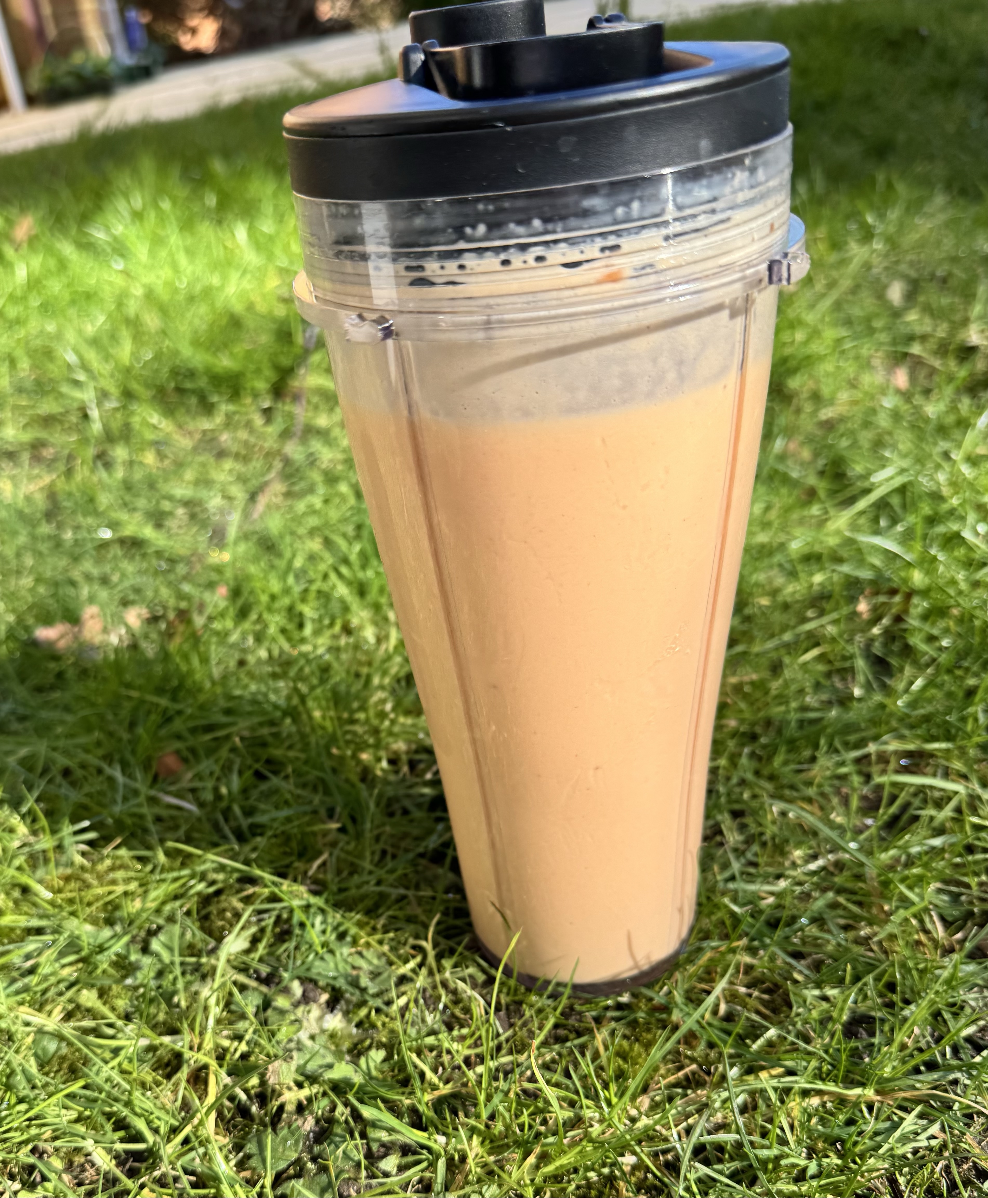 Carrot Mango Protein Shake (250 Calories)