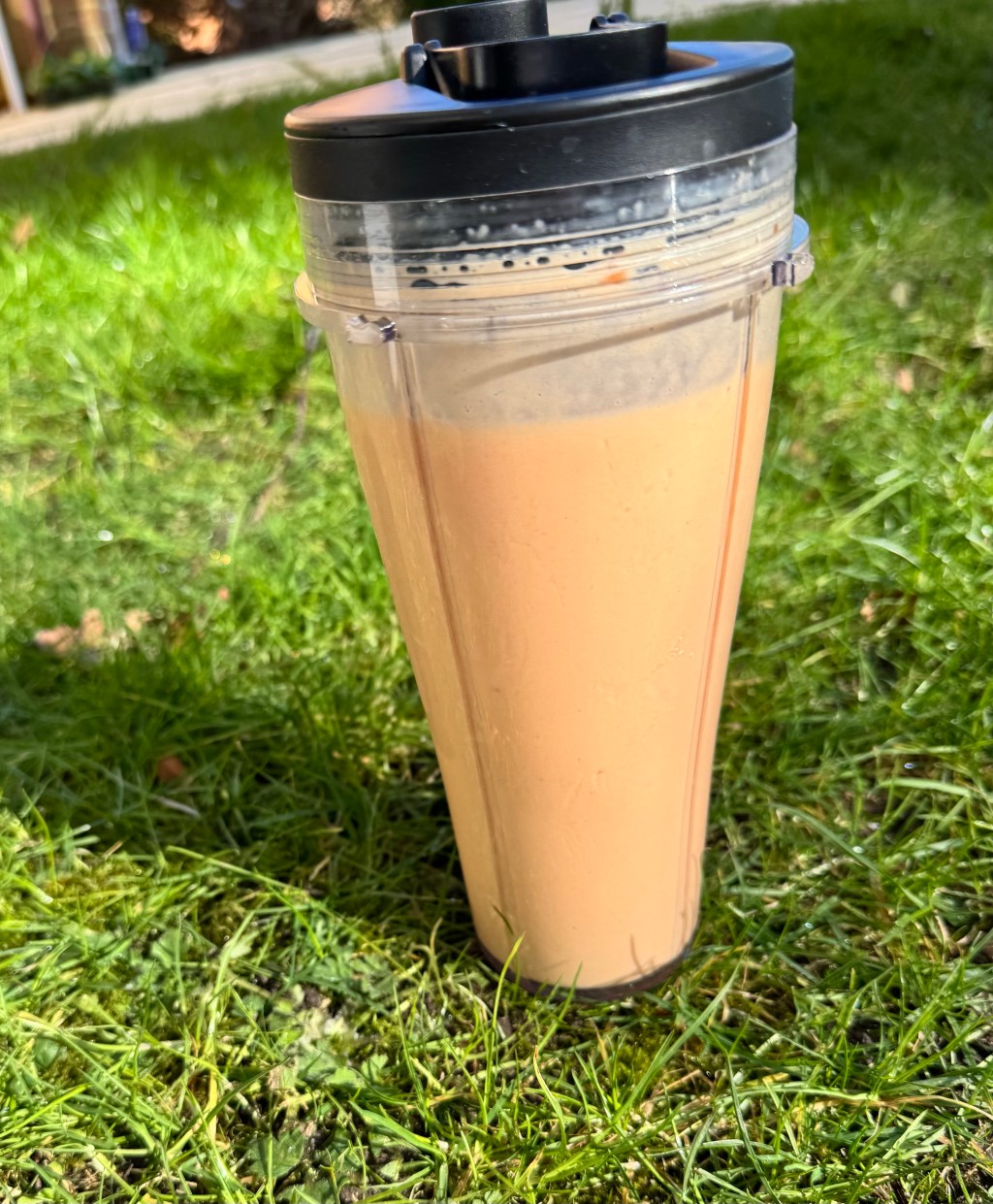 Carrot Mango Protein Shake (250&nbsp;Calories)