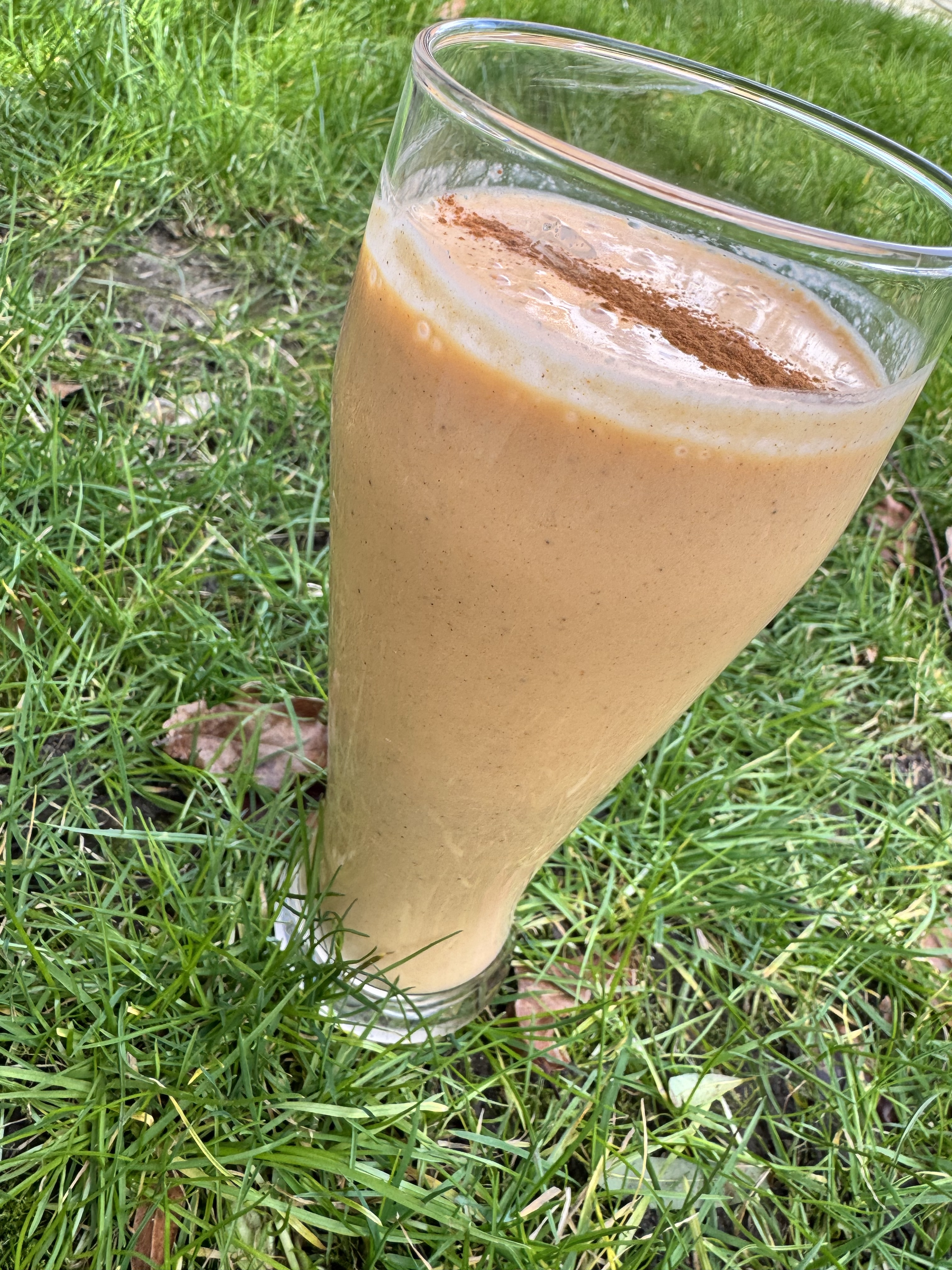 Carrot Mango ‘spiced cake’ Protein Smoothie (250 Calories, Cottage Cheese & Protein Boost)